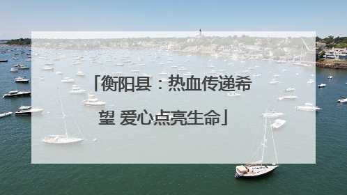 衡阳县：热血传递希望 爱心点亮生命