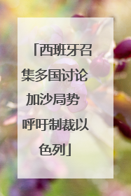 西班牙召集多国讨论加沙局势 呼吁制裁以色列