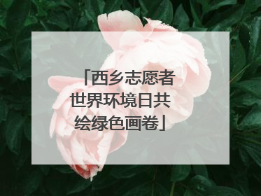 西乡志愿者世界环境日共绘绿色画卷