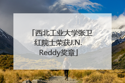 西北工业大学张卫红院士荣获J.N.Reddy奖章