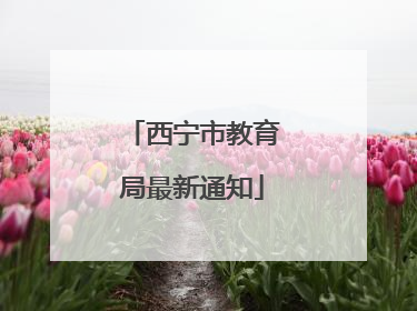 西宁市教育局最新通知
