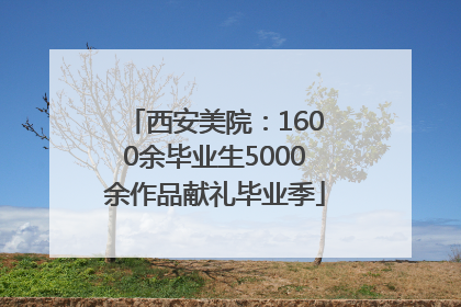 西安美院：1600余毕业生5000余作品献礼毕业季