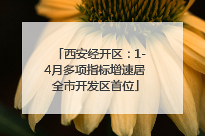 西安经开区：1-4月多项指标增速居全市开发区首位