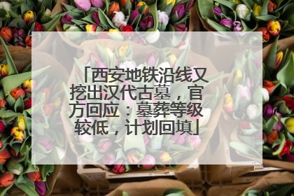 西安地铁沿线又挖出汉代古墓，官方回应：墓葬等级较低，计划回填