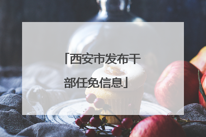 西安市发布干部任免信息