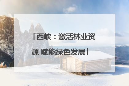 西峡：激活林业资源 赋能绿色发展