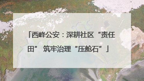 西峰公安：深耕社区“责任田” 筑牢治理“压舱石”