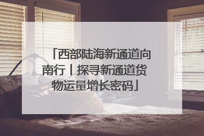 西部陆海新通道向南行丨探寻新通道货物运量增长密码