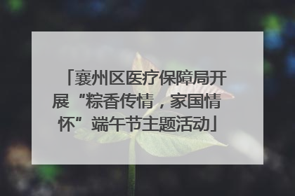 襄州区医疗保障局开展“粽香传情，家国情怀”端午节主题活动