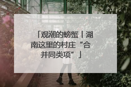 观潮的螃蟹丨湖南这里的村庄“合并同类项”