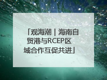 观海潮｜海南自贸港与RCEP区域合作互促共进