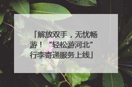 解放双手，无忧畅游！“轻松游河北”行李寄递服务上线