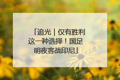 追光｜仅有胜利这一种选择！国足明夜客战印尼