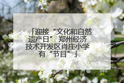 迎接“文化和自然遗产日” 郑州经济技术开发区肖庄小学有“节目”