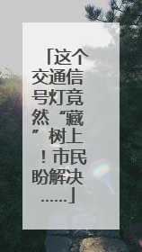 这个交通信号灯竟然“藏”树上！市民盼解决……