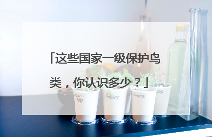 这些国家一级保护鸟类，你认识多少？