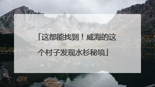 这都能找到！威海的这个村子发现水杉秘境