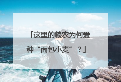 这里的粮农为何爱种“面包小麦”？