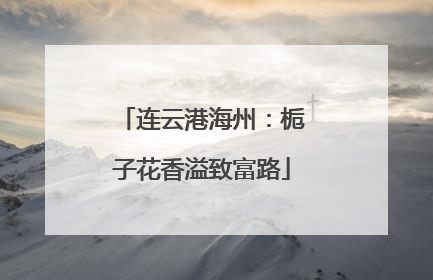 连云港海州：栀子花香溢致富路