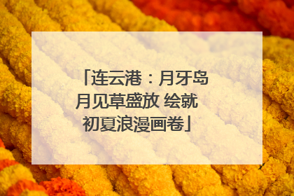 连云港：月牙岛月见草盛放 绘就初夏浪漫画卷
