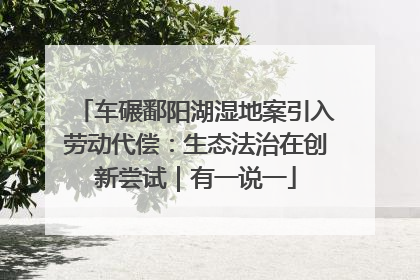 车碾鄱阳湖湿地案引入劳动代偿：生态法治在创新尝试｜有一说一