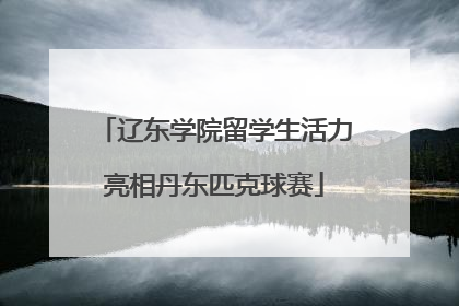 辽东学院留学生活力亮相丹东匹克球赛