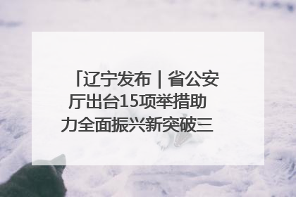 辽宁发布｜省公安厅出台15项举措助力全面振兴新突破三年行动决胜之战