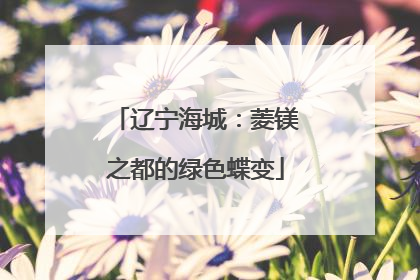 辽宁海城：菱镁之都的绿色蝶变