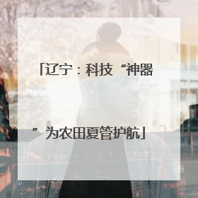 辽宁：科技“神器”为农田夏管护航