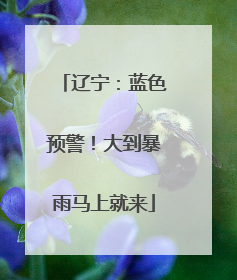辽宁：蓝色预警！大到暴雨马上就来
