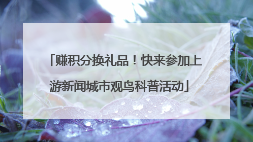 赚积分换礼品！快来参加上游新闻城市观鸟科普活动