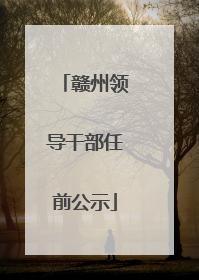 赣州领导干部任前公示