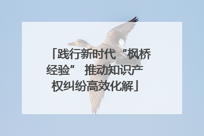 践行新时代“枫桥经验” 推动知识产权纠纷高效化解
