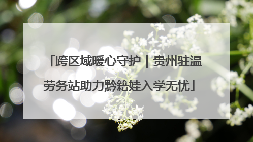 跨区域暖心守护｜贵州驻温劳务站助力黔籍娃入学无忧
