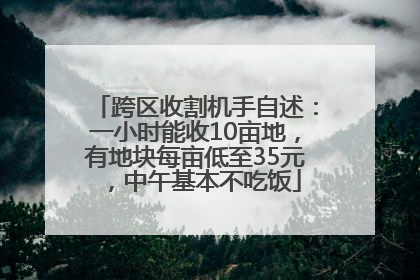 跨区收割机手自述：一小时能收10亩地，有地块每亩低至35元，中午基本不吃饭