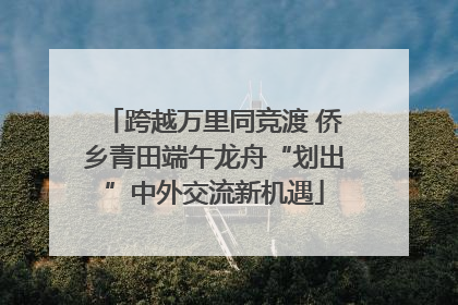 跨越万里同竞渡 侨乡青田端午龙舟“划出”中外交流新机遇