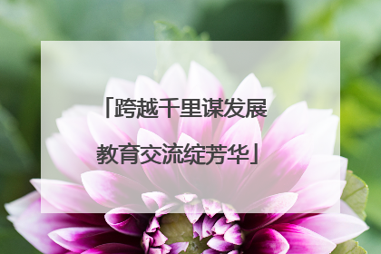 跨越千里谋发展 教育交流绽芳华
