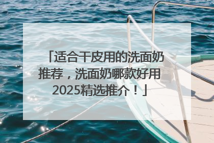 适合干皮用的洗面奶推荐，洗面奶哪款好用2025精选推介！