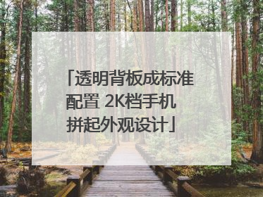 透明背板成标准配置 2K档手机拼起外观设计