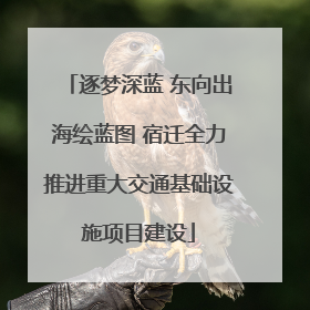 逐梦深蓝 东向出海绘蓝图 宿迁全力推进重大交通基础设施项目建设