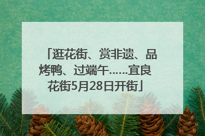 逛花街、赏非遗、品烤鸭、过端午……宜良花街5月28日开街