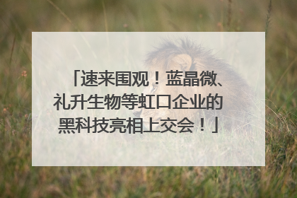 速来围观！蓝晶微、礼升生物等虹口企业的黑科技亮相上交会！