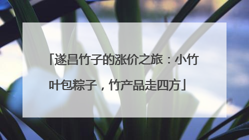 遂昌竹子的涨价之旅：小竹叶包粽子，竹产品走四方