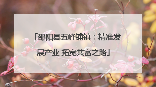 邵阳县五峰铺镇：精准发展产业 拓宽共富之路