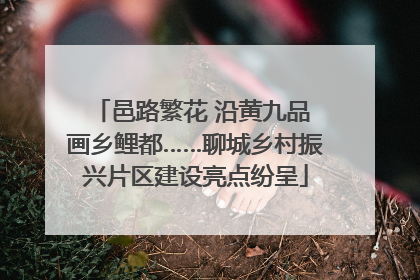 邑路繁花 沿黄九品 画乡鲤都……聊城乡村振兴片区建设亮点纷呈