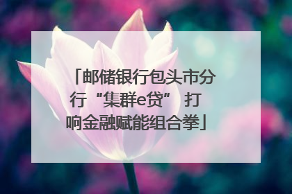 邮储银行包头市分行“集群e贷” 打响金融赋能组合拳
