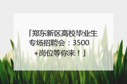 郑东新区高校毕业生专场招聘会：3500+岗位等你来！