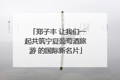 郑子丰 让我们一起共筑宁夏葡萄酒旅游 的国际新名片