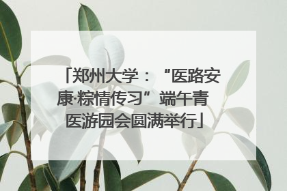 郑州大学：“医路安康·粽情传习”端午青医游园会圆满举行