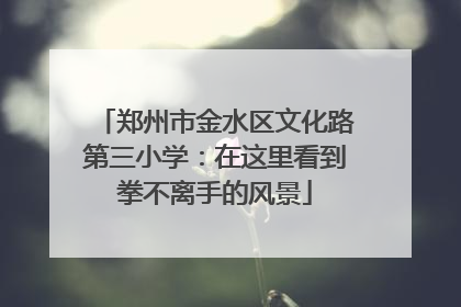 郑州市金水区文化路第三小学：在这里看到拳不离手的风景